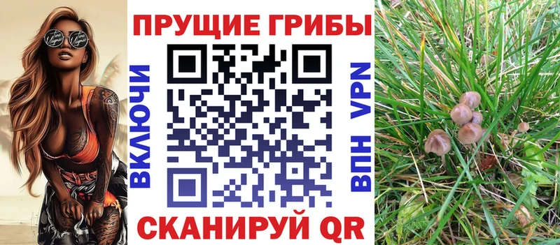 мориарти какой сайт  Арзамас  Псилоцибиновые грибы MAGIC MUSHROOMS  наркотики 